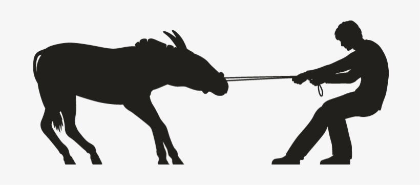 Mules-03 New - Silhouette Of A Mule, transparent png #834141
