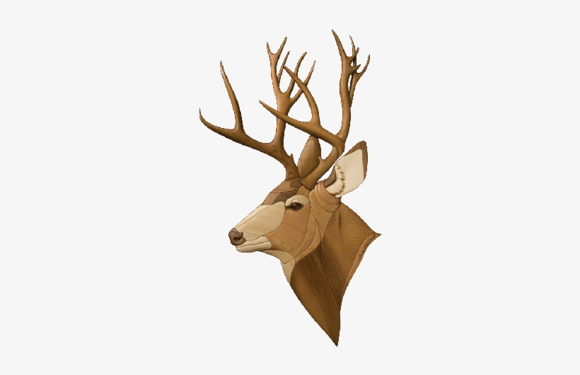 I 278 Mule Deer - Deer Head Side Profile, transparent png #834710