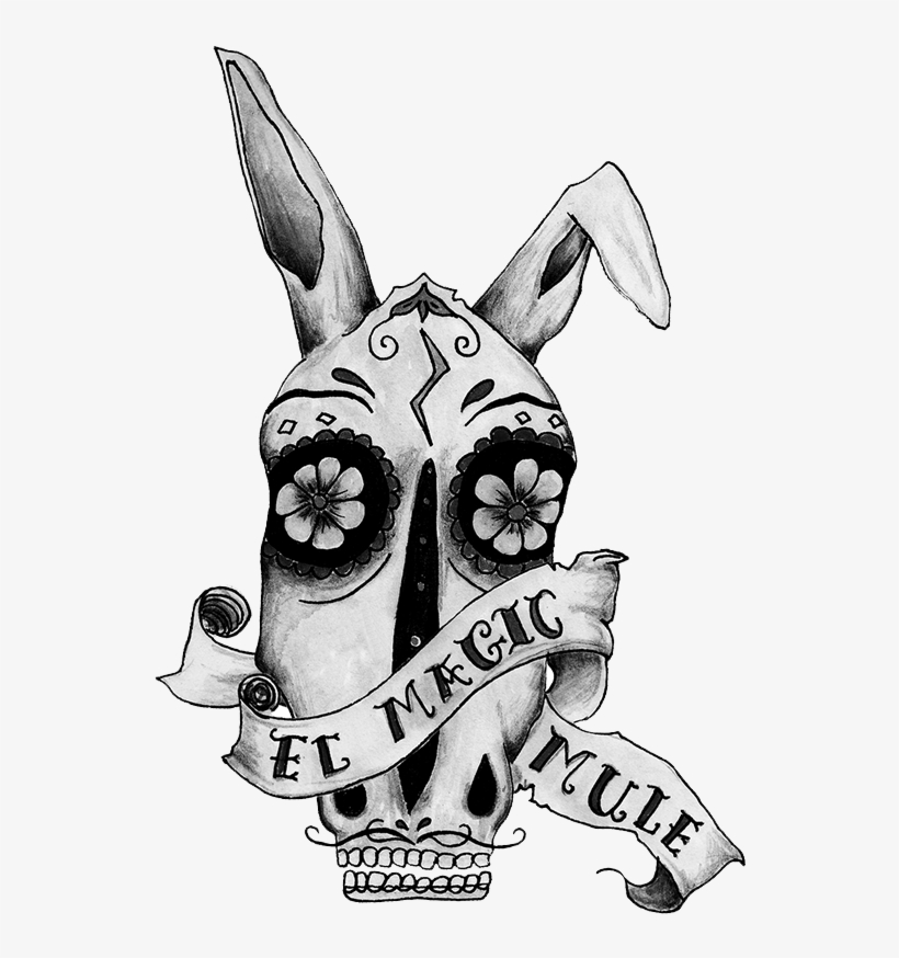 The 'magic Mule', Your All Round Workhorse, Initially - Illustration, transparent png #835480