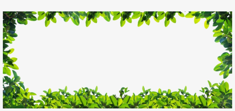 Plant-border - Green Leaf Border, transparent png #836194