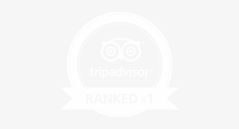 Trip Advisor Reviews - Trip Advisor, transparent png #836413