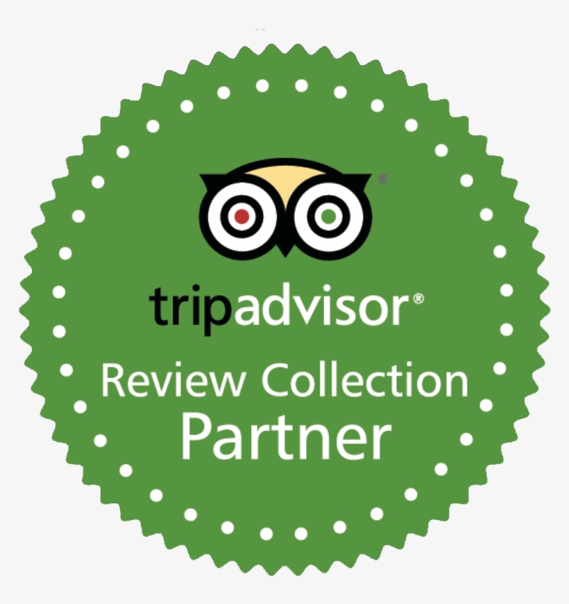 Tripadvisor Review Collection Partner - Tripadvisor Interactive Luggage Tag - Tripadvisor Owl, transparent png #836454