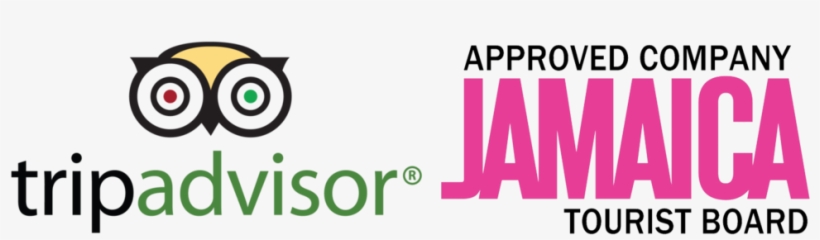 Jujuawardslogos - Portable Network Graphics, transparent png #836513