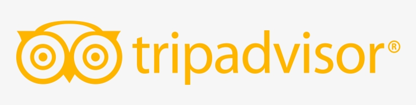 Tripadvisor Review Logo Tripadvisor Roll - Graphic Design, transparent png #836985