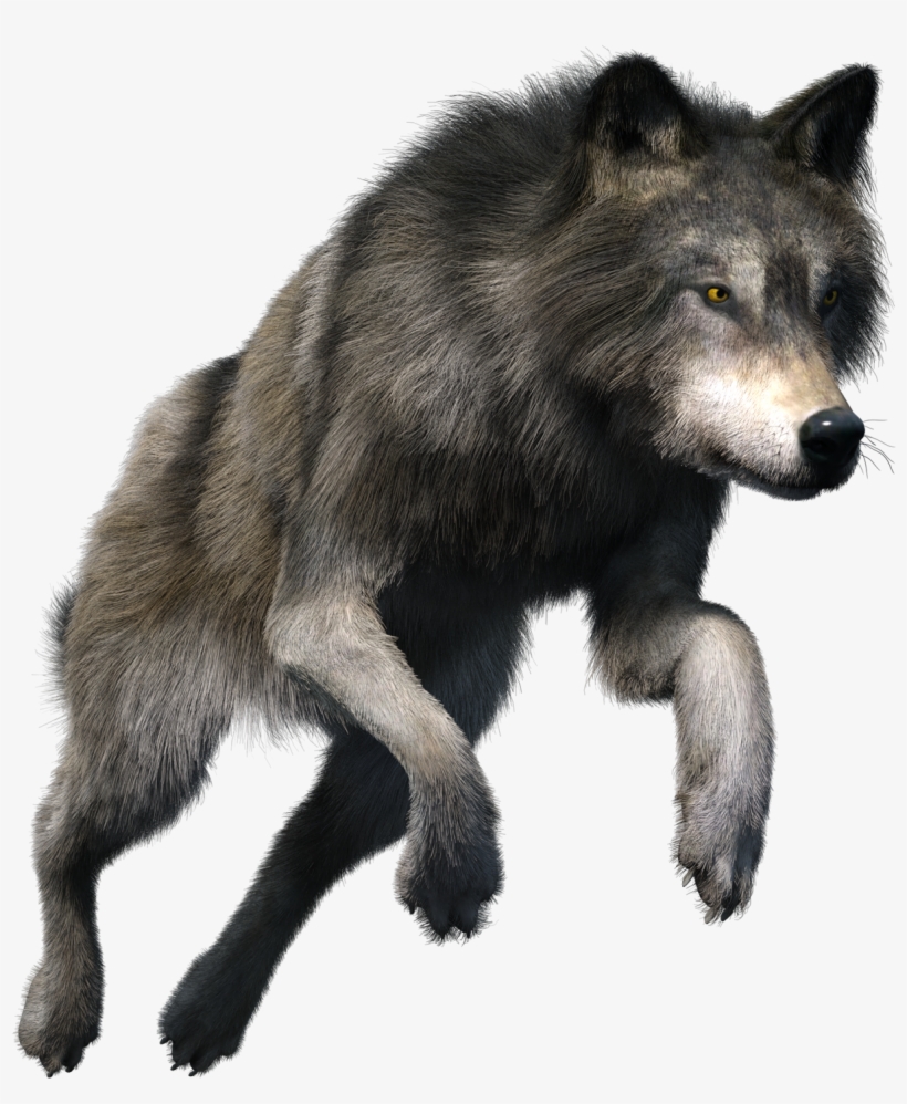 Howling Wolf Clipart Free - Wolf, transparent png #837862