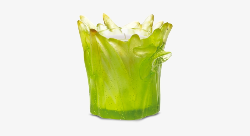 Daffodils Candle - Jonquille, transparent png #838781
