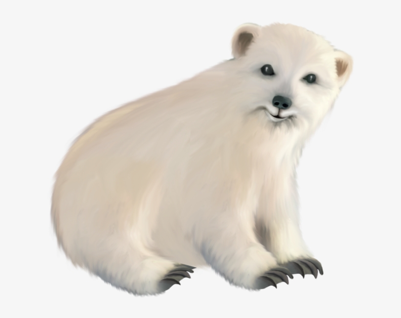 Polar White Bear Png - Png Baby Polar Bear, transparent png #838883