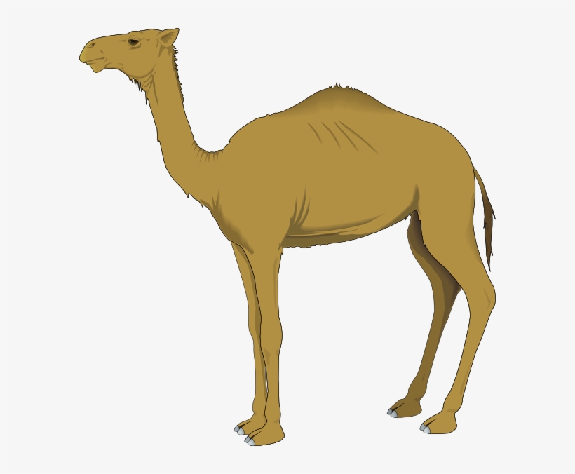You Can Use These Free Bear Cliparts For Your Documents, - Camel Clipart Png, transparent png #839031