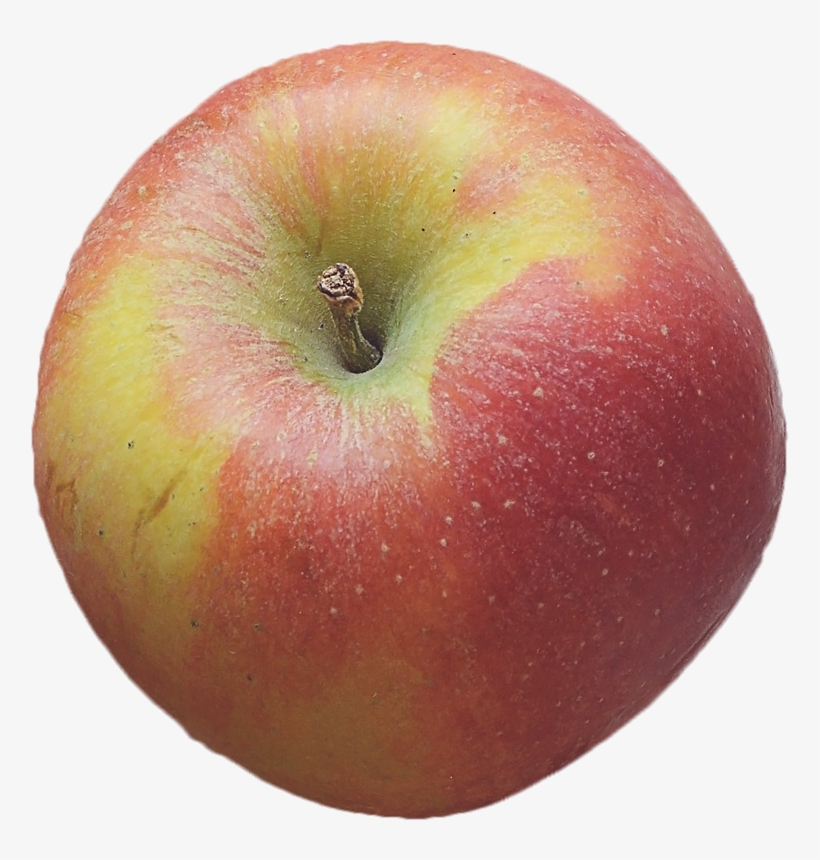 More Free Thanksgiving Graphics - York, transparent png #839250
