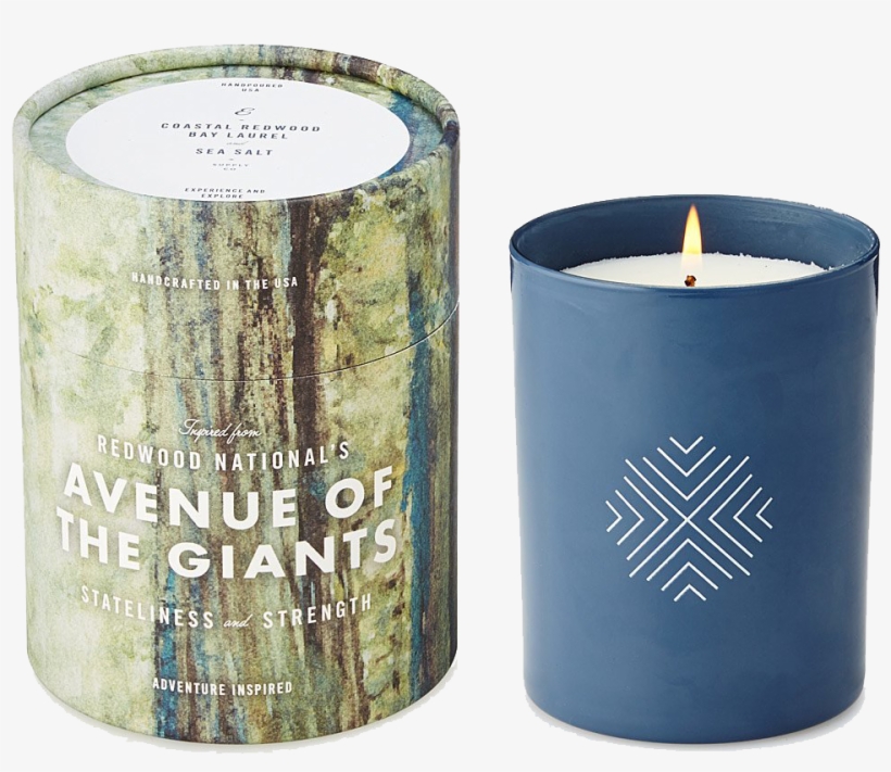 Ethics Supply Candle | Redwood National's Avenue, transparent png #839320