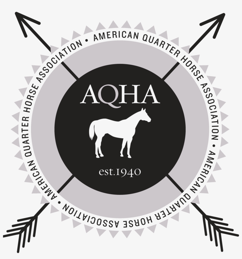 Aqha Arrow Logos - Triton Bay Wealth Advisors, transparent png #839872