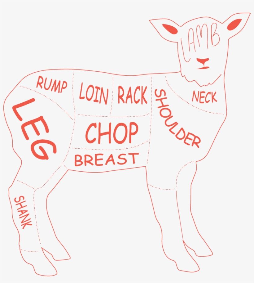 Lamb Loin Roast/saddle - Cartoon, transparent png #8300325