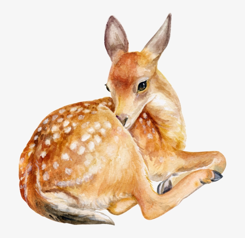 Deer Png Image - Deer Sitting, transparent png #8300559