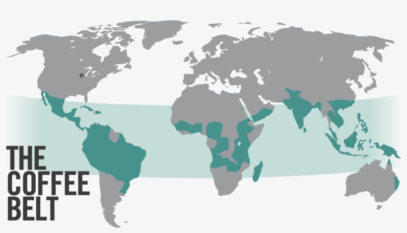 Today, Specialty Coffee Is Grown And Processed In Dozens - Capital Of The Whole World, transparent png #8300785
