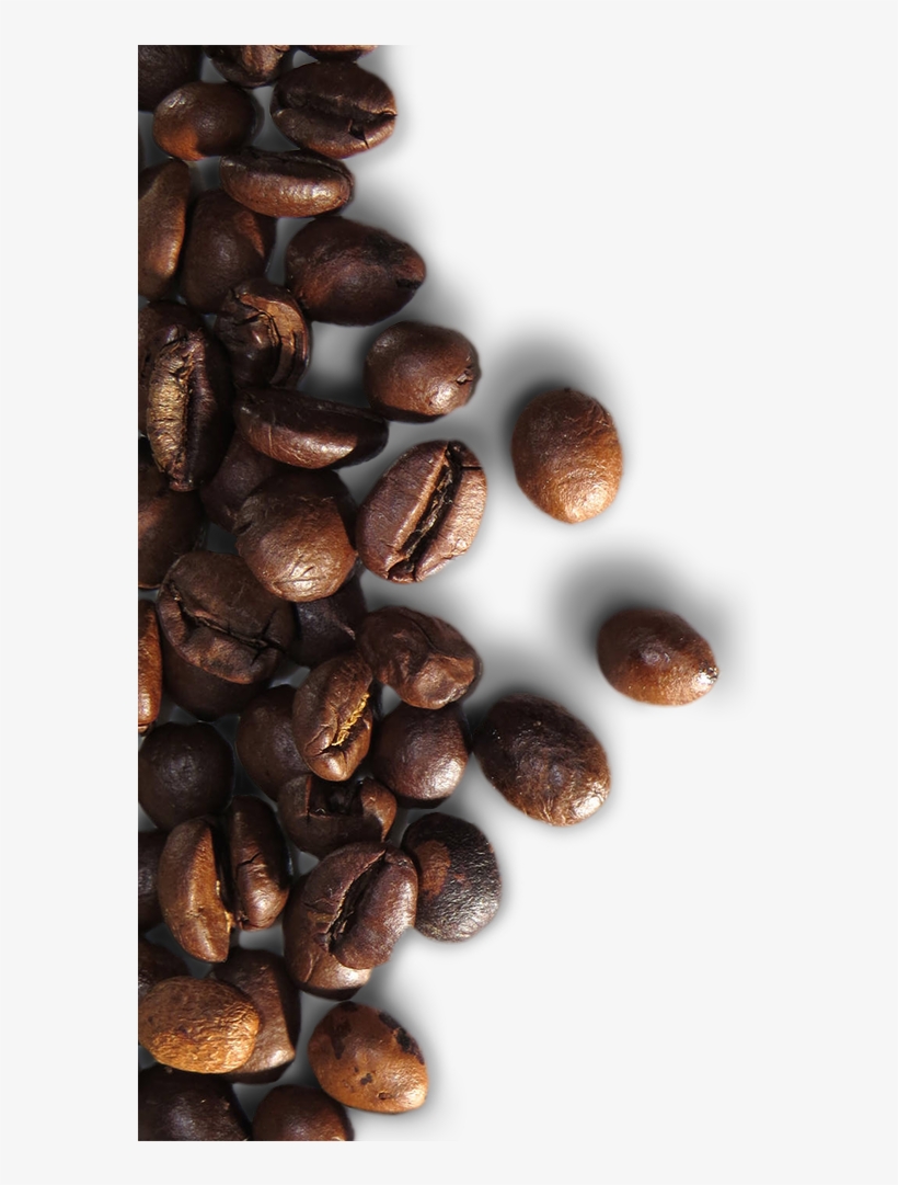 High Quality Coffee Beans - Macro Photography, transparent png #8300931