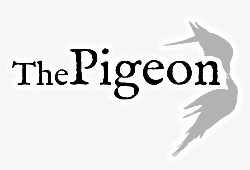 Roundup - Parrot, transparent png #8300978