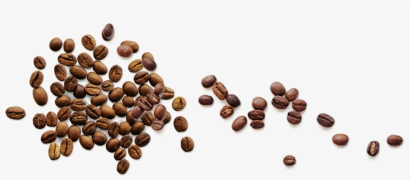 Element - Coffee Bean, transparent png #8301220