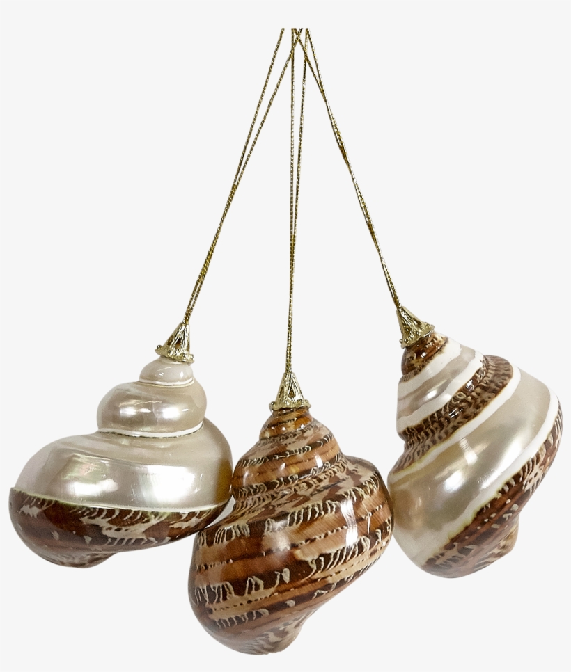 More Views - Brass, transparent png #8302039