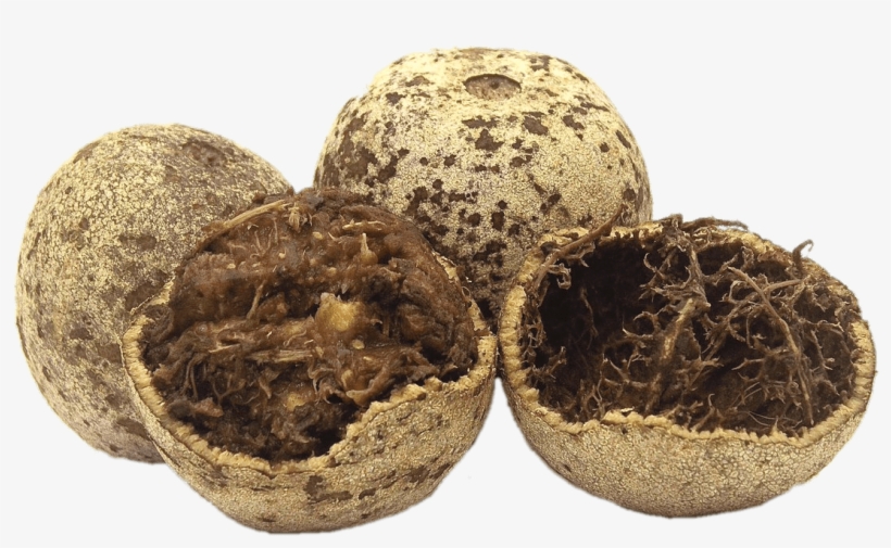 Fruits - Wood Apple Fruit Juice, transparent png #8302096