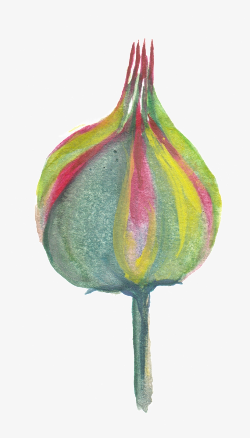 Camouflage Flower Transparent Decorative - Vegetable, transparent png #8302504