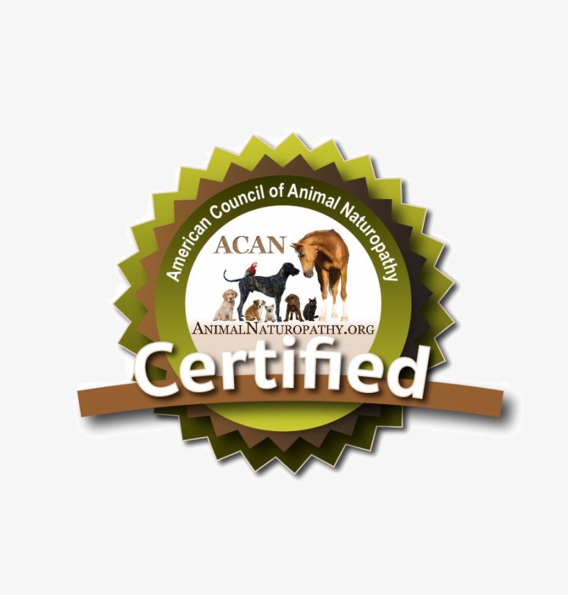 Certified In Animal Naturopathy - Turkey, transparent png #8303934