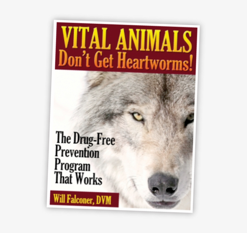 This Is How - Vital Animals, transparent png #8303988