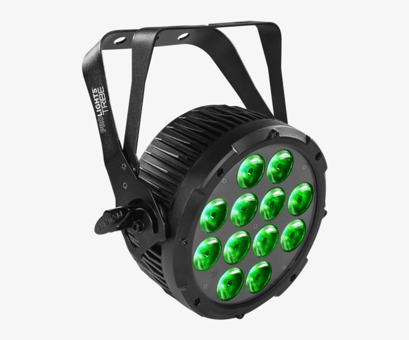 Immagine Principale, transparent png #8304731