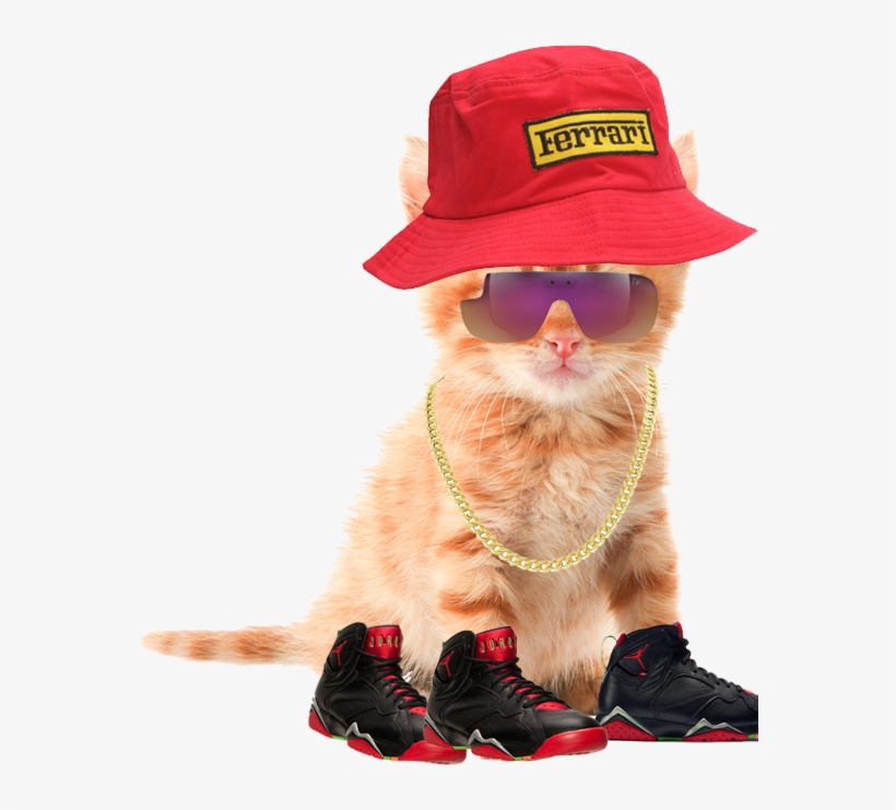 Costume Hat, transparent png #8304759