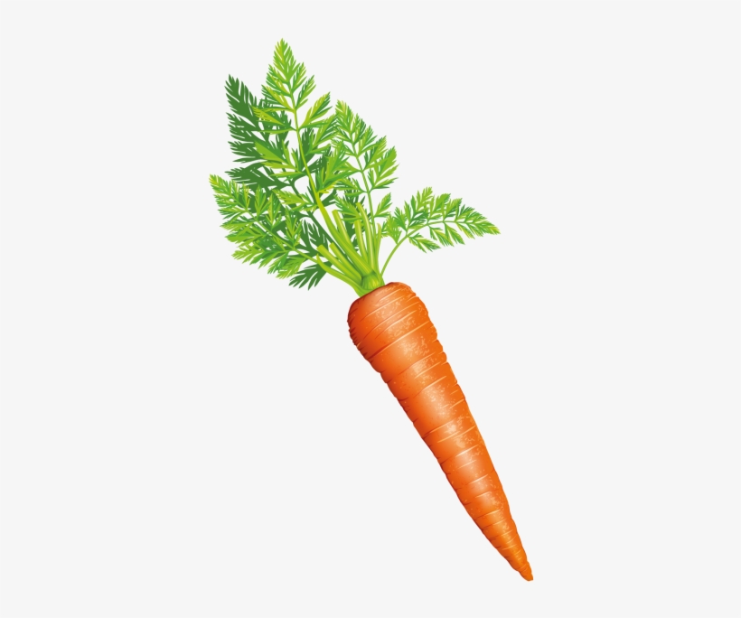 Carrot - Baby Carrot, transparent png #8305034