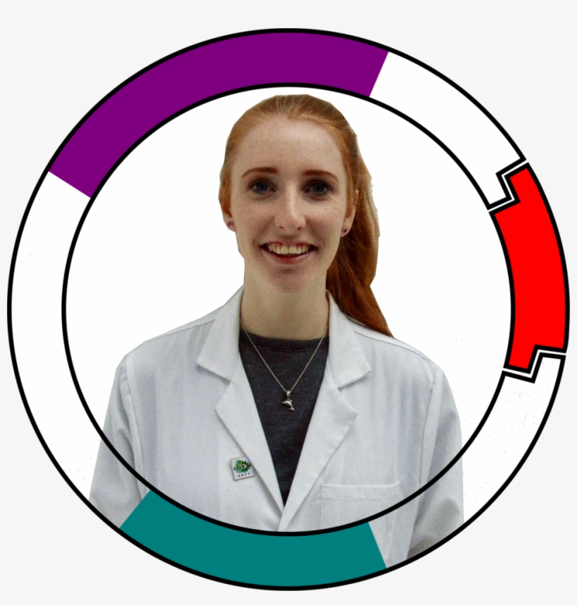 Ellen Byrne - Plasmid Clipart, transparent png #8305340