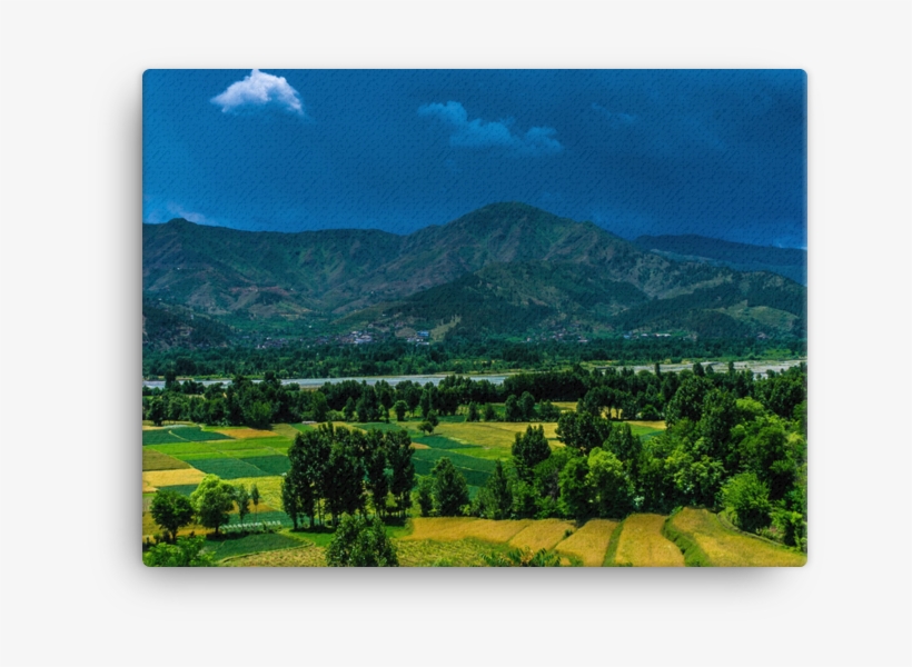 Green Mountain Distance With Trees - Summit, transparent png #8305547