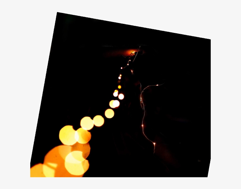 Fairy Lights Png ➤ Download - Still Life Photography, transparent png #8305634