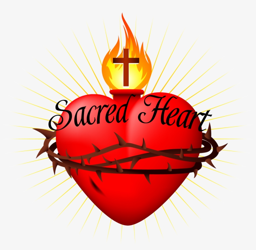 < Back To Organization List Sacred Heart Catholic Church - Catholic Sacred Heart Symbol, transparent png #8306601