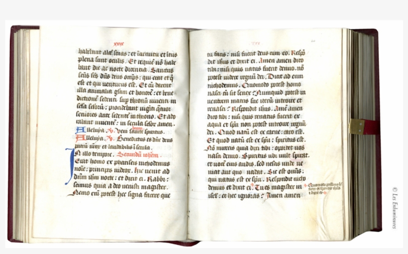 Document, transparent png #8306935
