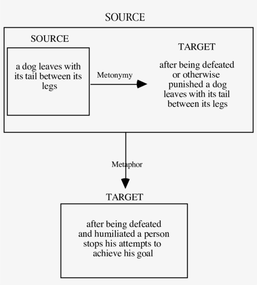 Metonymic Expansion Of A Metaphoric Source - Diagram, transparent png #8307122