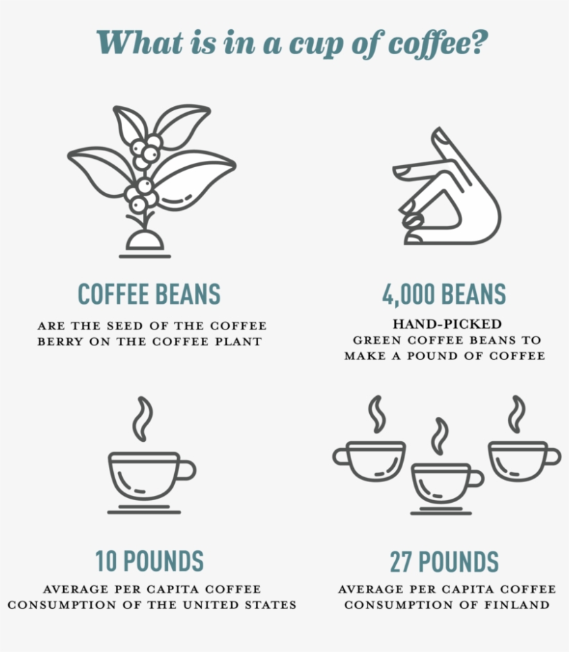 What's In Your Mug Exploring The Costs In A Cup Of - Per Capita Consumption Coffee, transparent png #8308219