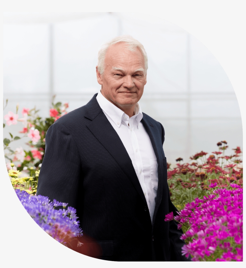 Managing Director Mnp Flowers - Artificial Flower, transparent png #8308286