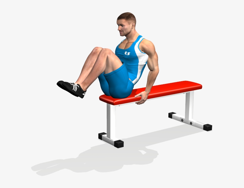 Seated Flat Bench Leg Pull In Involved Muscles During - Crunch Su Panca Piana, transparent png #8308392