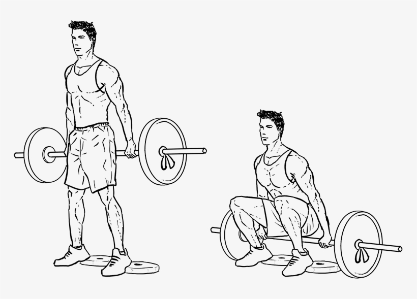 Workout Creator For Men - Powerlifting, transparent png #8308428
