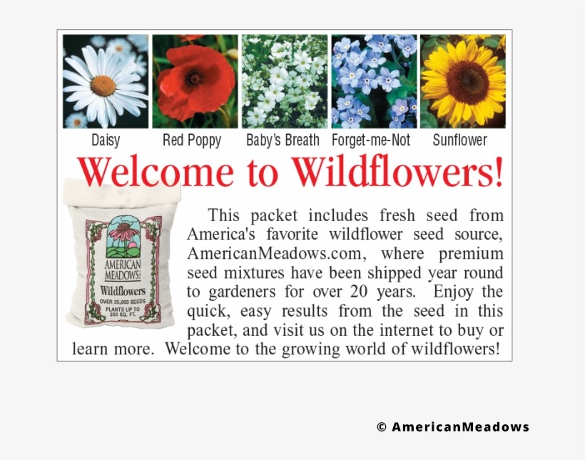 Baby's Breath Seed Packet - Sunflower, transparent png #8308429