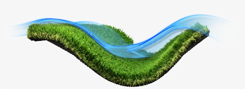 Our Best Seller - Grass, transparent png #8308661