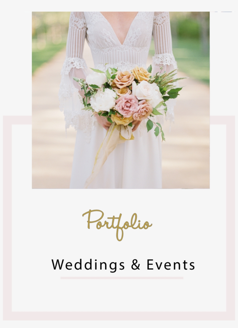 Gallery2 - Garden Roses, transparent png #8308670