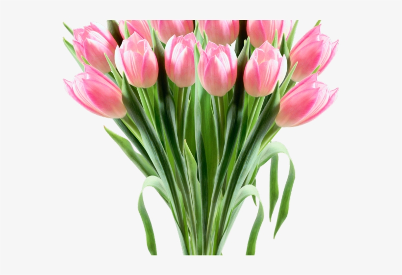 Tulip Clipart Flower Bokeh - 8 Марта Картинки Png, transparent png #8308810