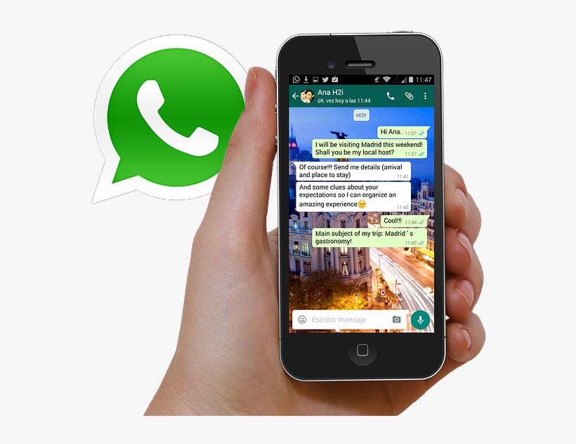Hand Mobile Whatsapp Photo - Whatsapp Icon, transparent png #8308848