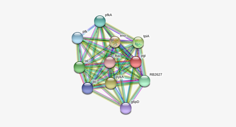 Circle, transparent png #8309584