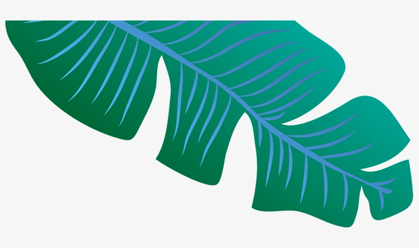 Footer Leaf Image - Tree, transparent png #8309978