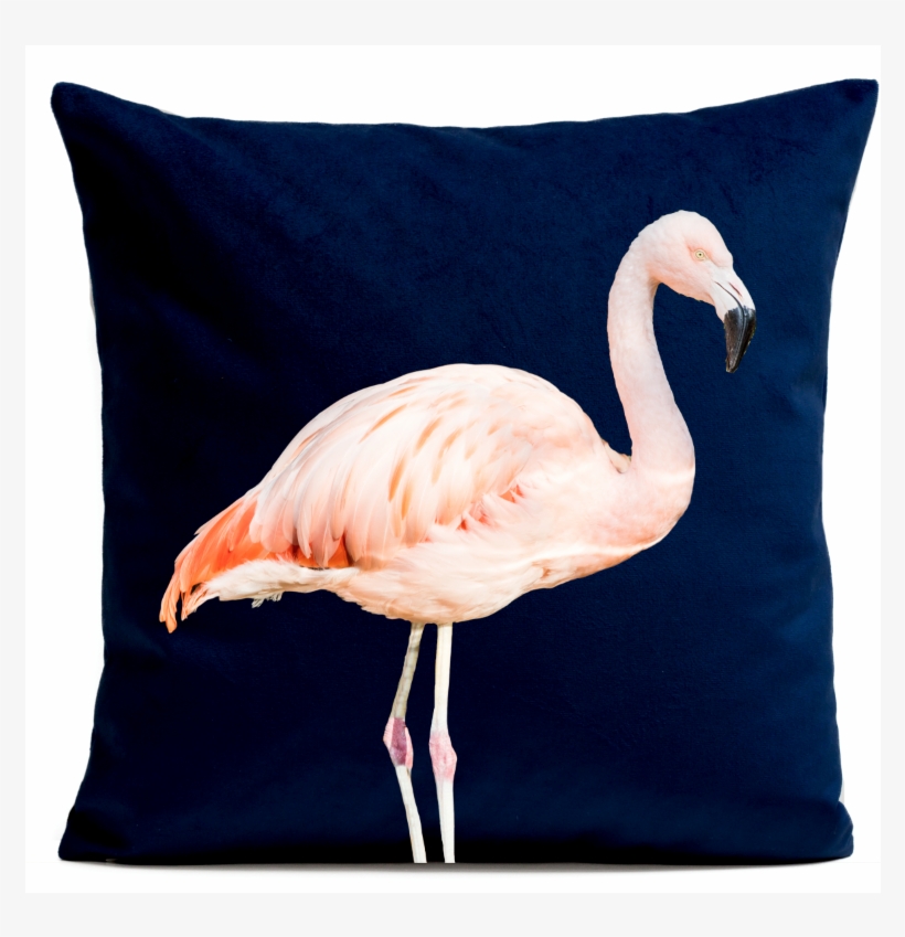 Pillow Cover - Coussin Pink Flamingo, transparent png #8310131