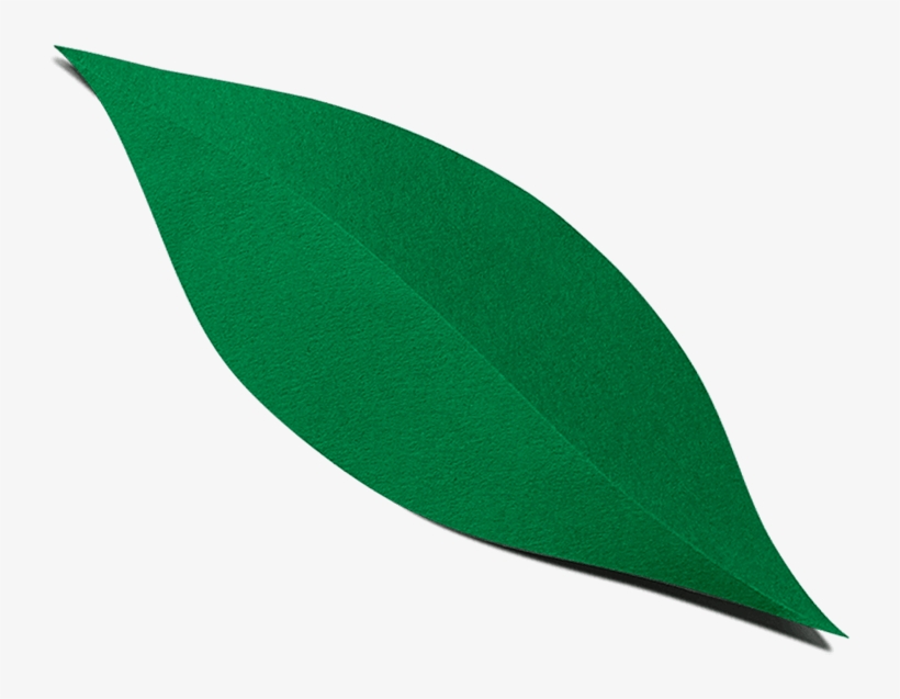 Find Lavva Near You - Tree, transparent png #8310207