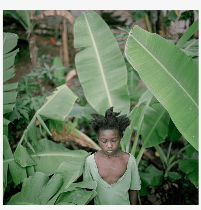 Featured Artists - Ensete, transparent png #8310288