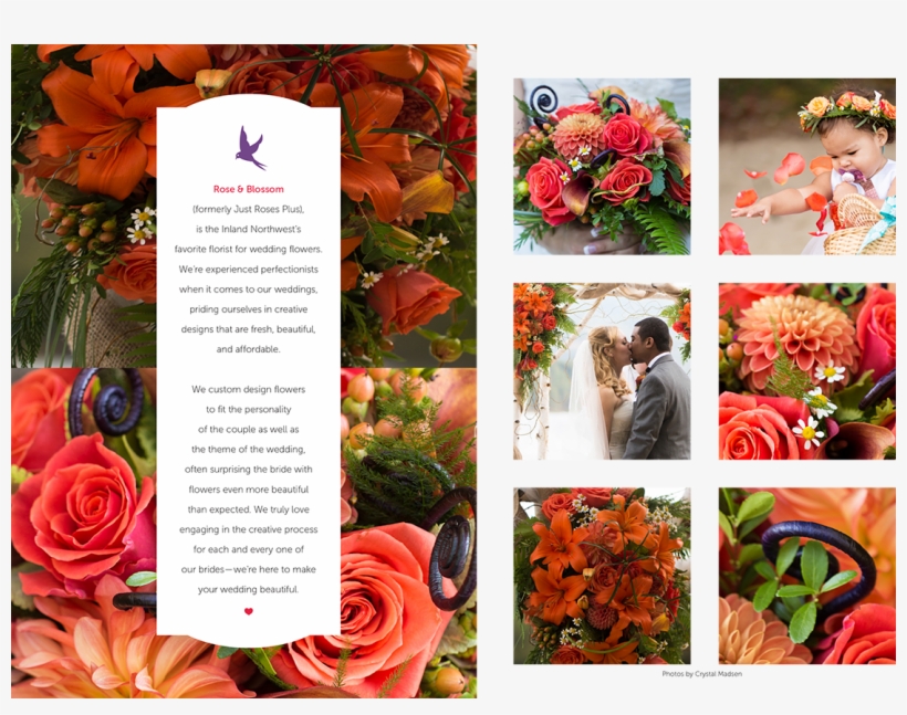 Garden Roses, transparent png #8312225